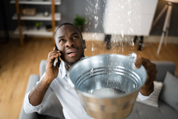 Best Water damage cleanup near me  in Tigerville, SC