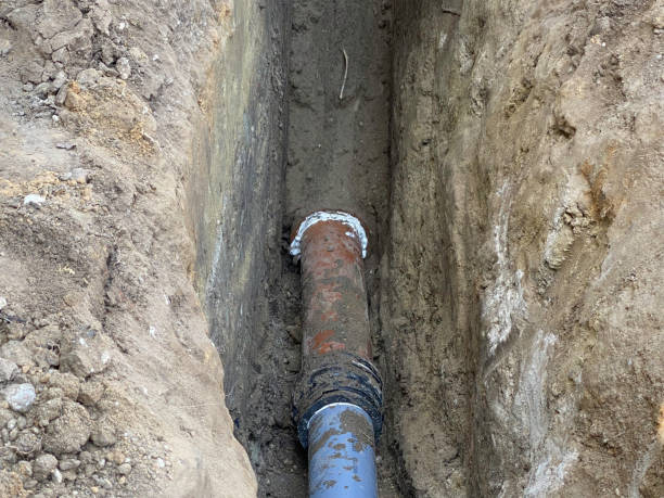 Best Flood restoration services  in Tigerville, SC