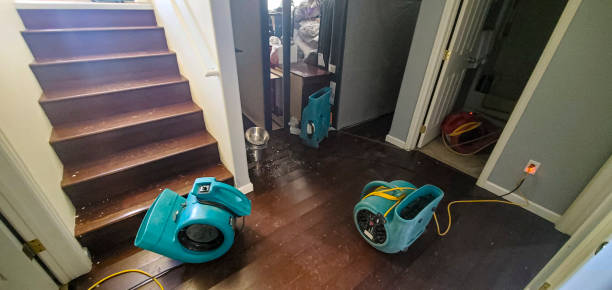 Best Water damage cleanup near me  in Tigerville, SC