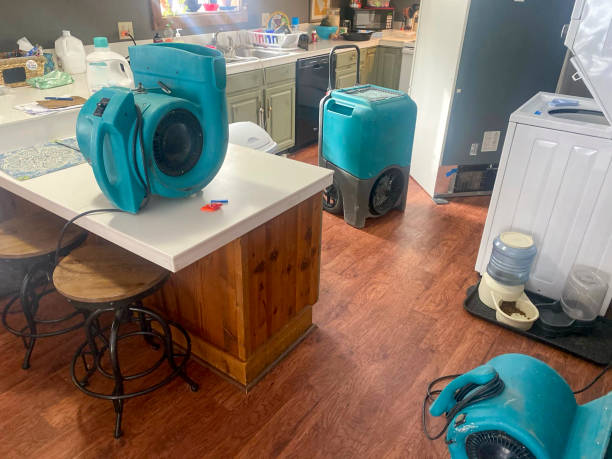 Best Local water damage restoration  in Tigerville, SC