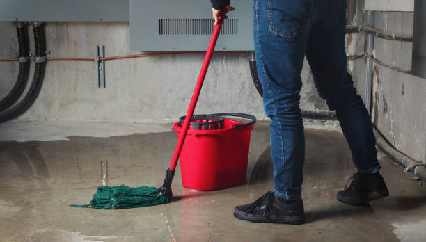 Best Carpet water damage restoration  in Tigerville, SC