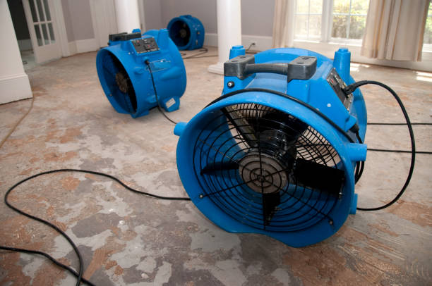 Water damage restoration experts in SC