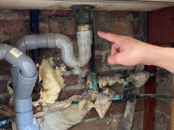 Best Water damage restoration near me  in Tigerville, SC