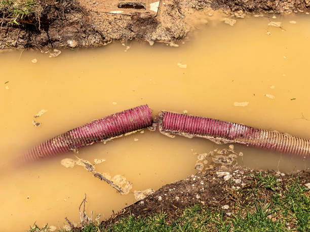 Best Water damage restoration near me  in Tigerville, SC